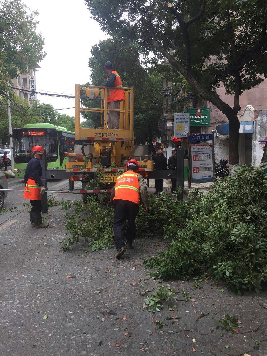 近日，我公司根據(jù)南陵縣市政園林所通知，組織安排人員車輛協(xié)助市政園林所路燈科修剪陵陽路兩側(cè)遮擋路燈照明的樹枝。此項工作持續(xù)了三天，消除了因路燈光照不足帶來的夜間通行安全隱患問題，受到沿線居民一致好評。